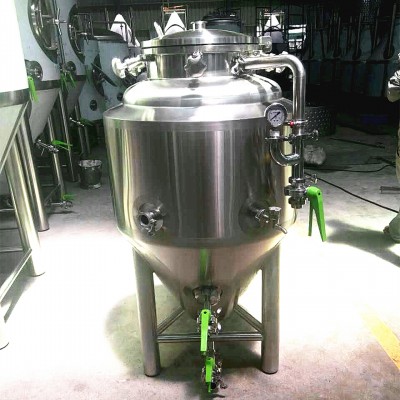 GSTA 100L Beer fermentor